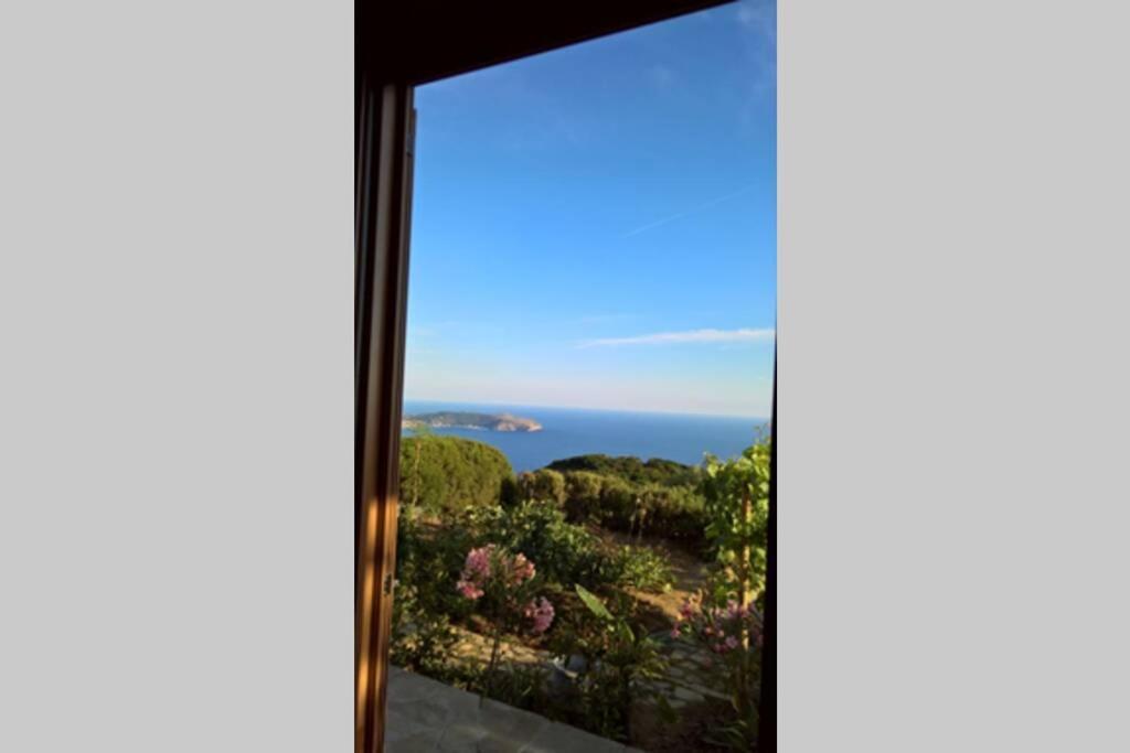 Pietra Fiorita Cottage Pisciotta Exteriér fotografie